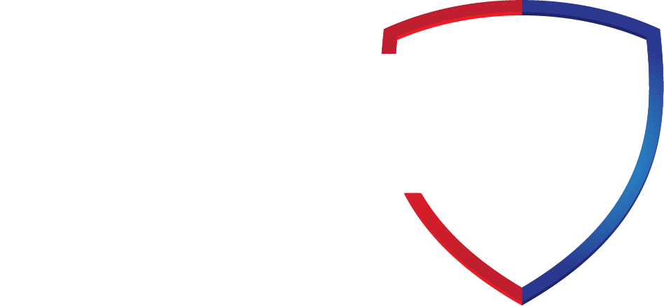 VLS Logo